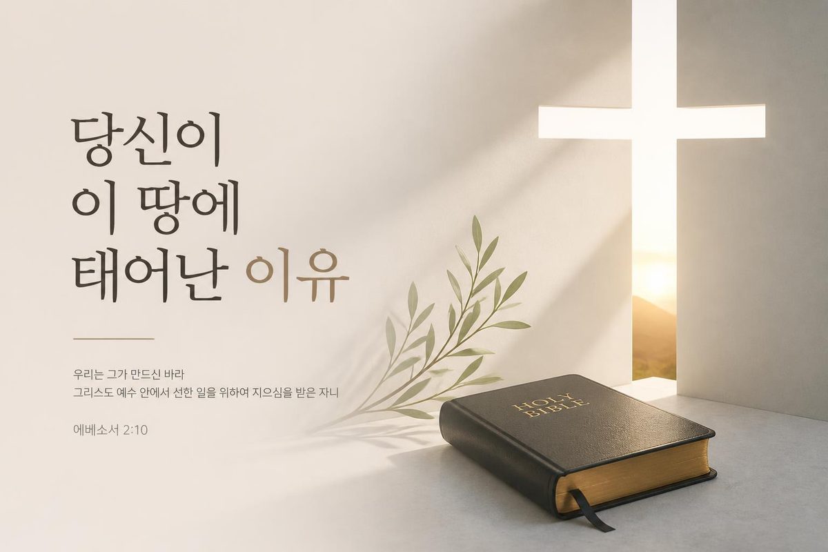 당신이 이 땅에 태어난 이유