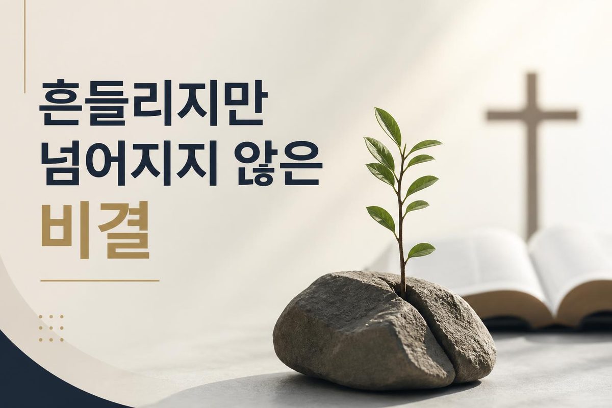 흔들리지만 넘어지지 않은 비결