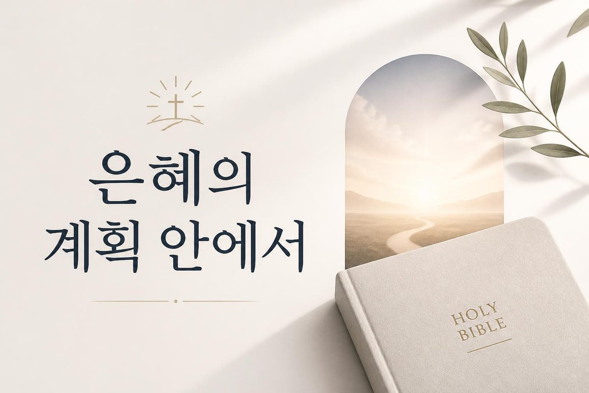 은혜의 계획 안에서